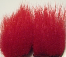 polar bear red standart